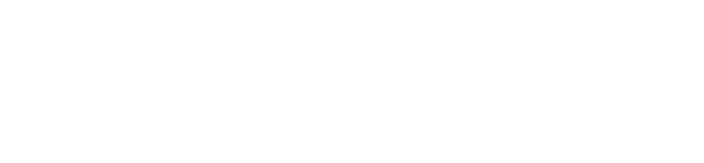 Total Executive Security logo