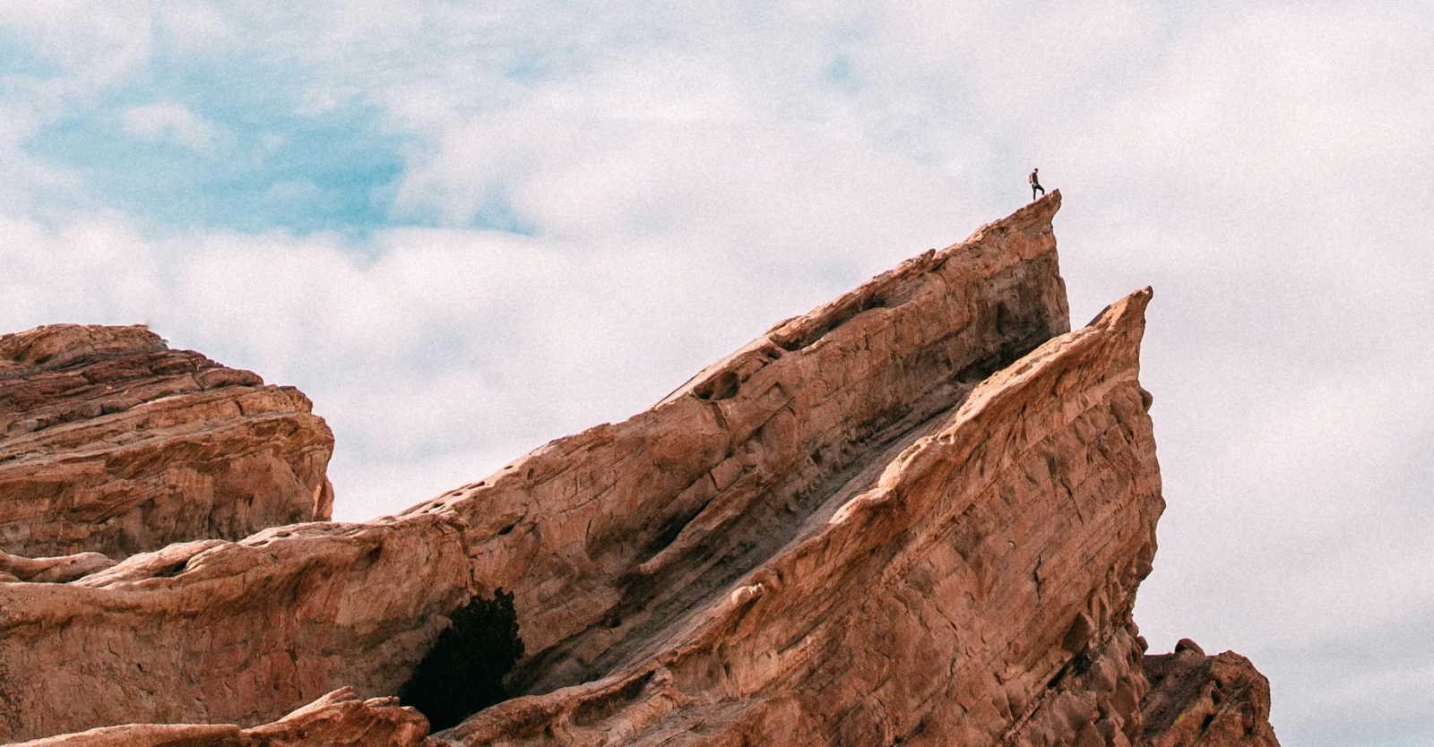 What Is the Value of My Company?