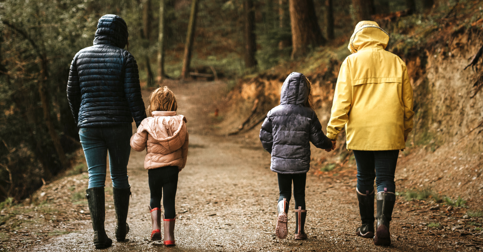 Why a Forensic Accountant is Essential in Family Law and Divorce Cases